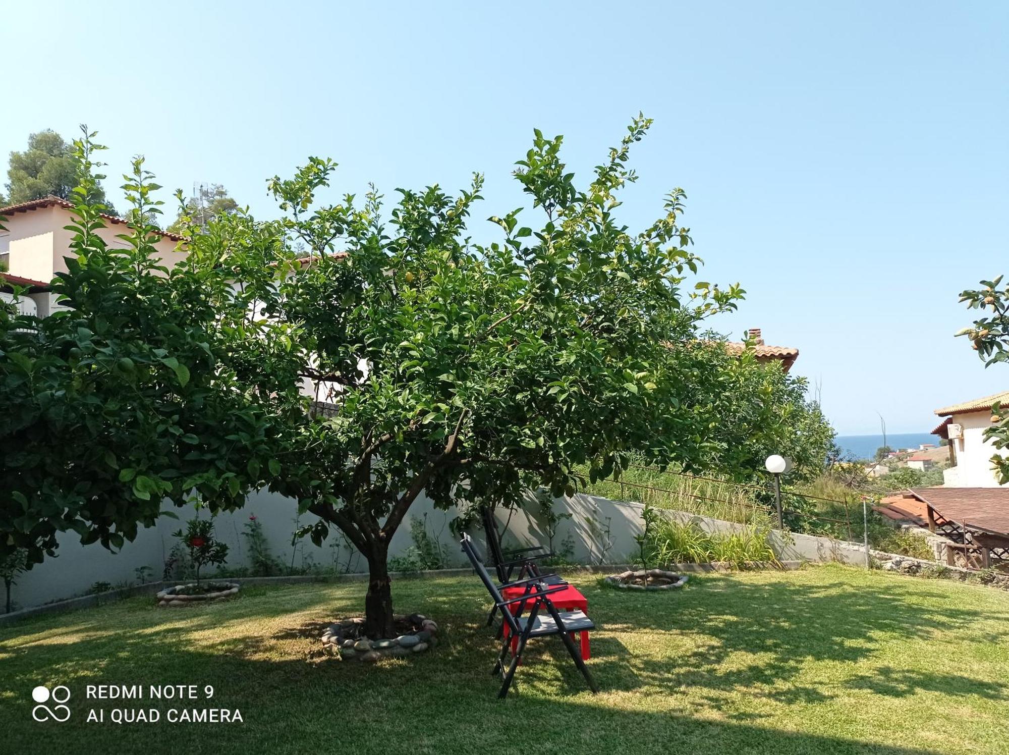 Fotini'S House Apartment Nea Skioni Exterior foto